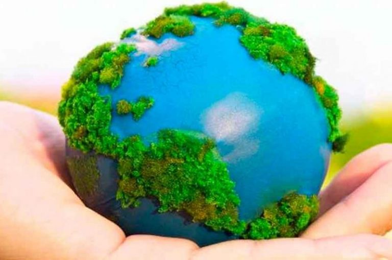 5 de junio día del ambiente